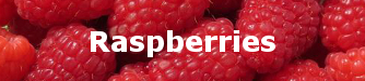 Raspberry.jpg