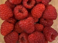 10.062-11 punnet-sm.jpg