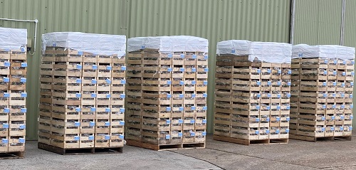 pallets-sm.jpg