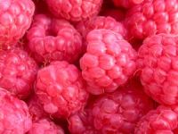 Raspberry Glen Ample.JPG